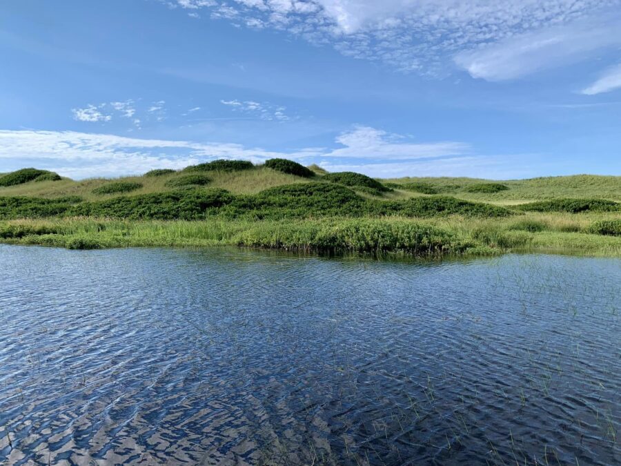 Grandi dune di sabbia con vegetazione verde a Greenwich National Park Canada