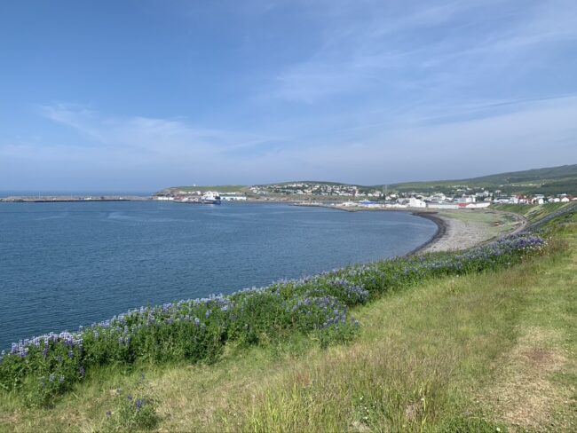 baia di skjalfandi a husavik