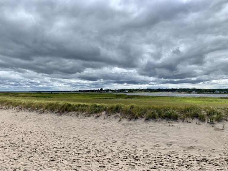 Irving Eco-Centre alla Dune de Bouctouche in New Brunswick per la guida su cosa vedere