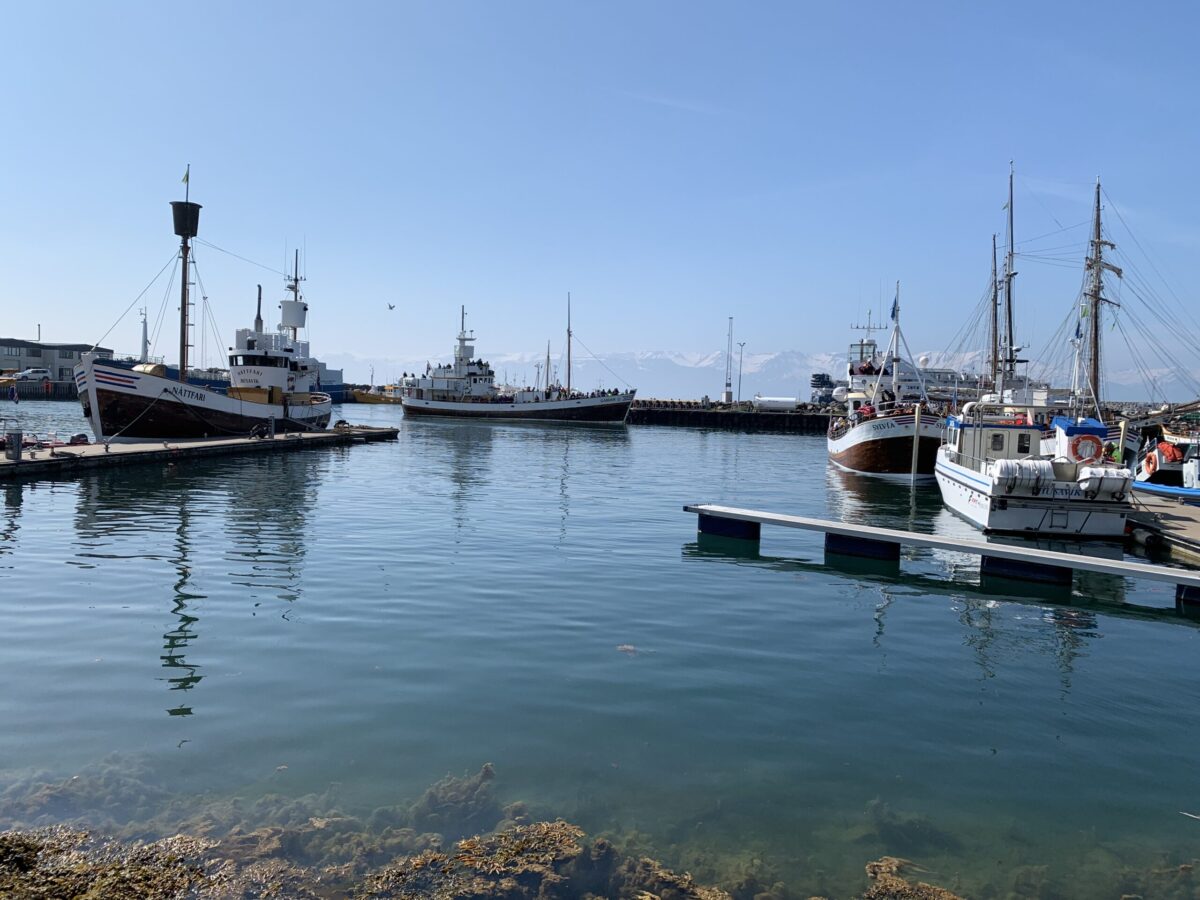 Il porto per l'avvistamento balene a Húsavík con le barche in legno per il whale watching nella baia di Skjálfandi.
