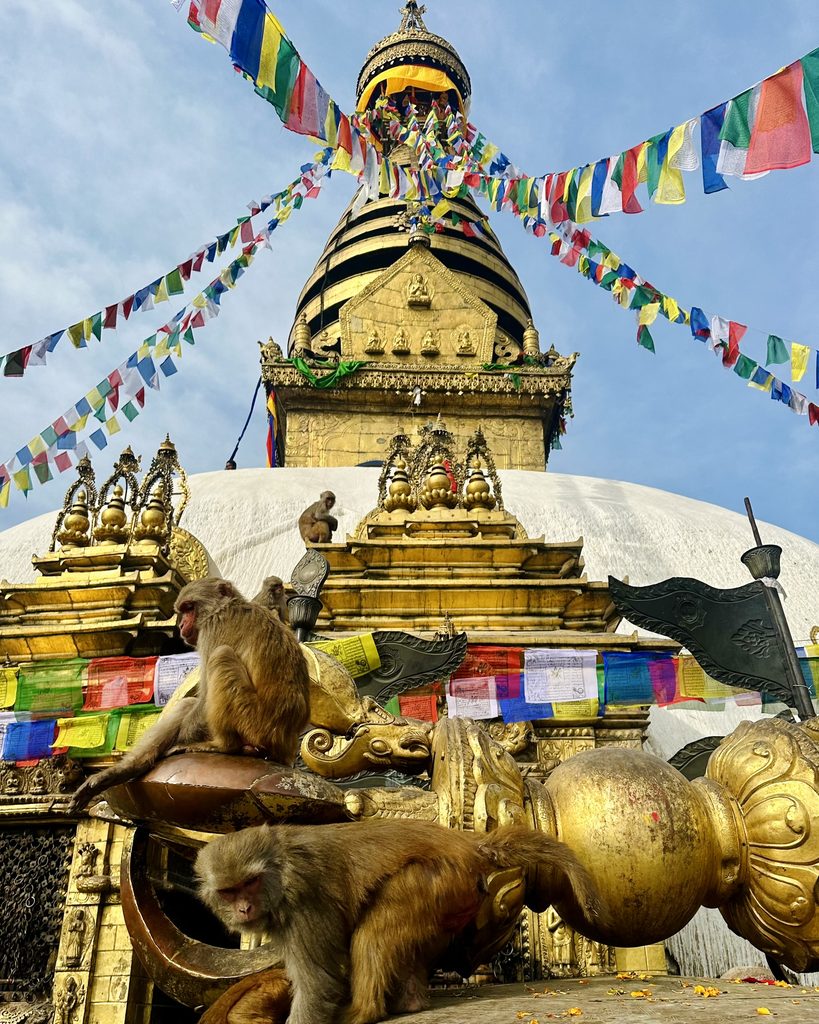 lo stupa di Swayambhunath Monkey Temple a Kathmandu e le scimmie