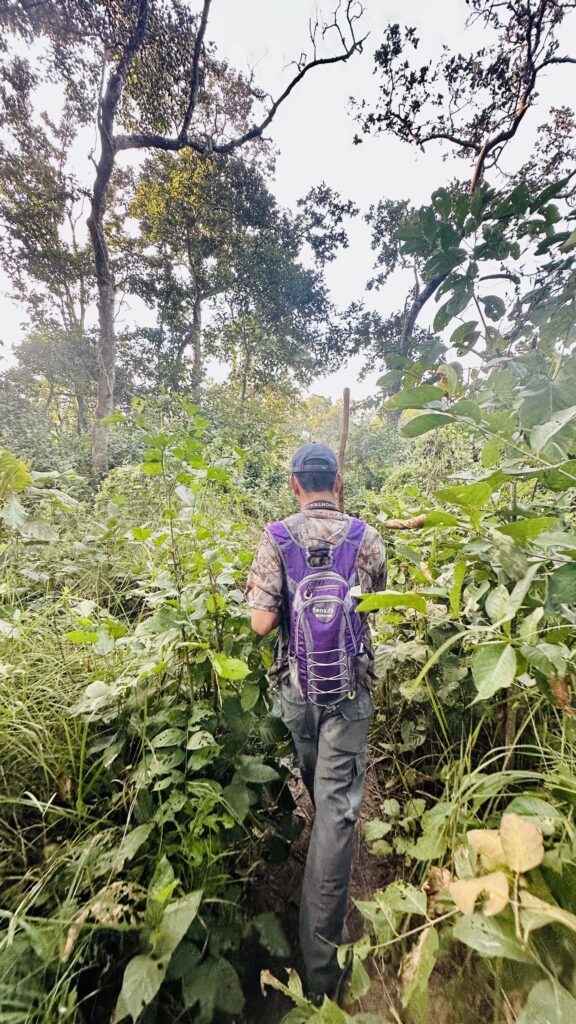 trekking con guida nella giungla del chitwan national park
