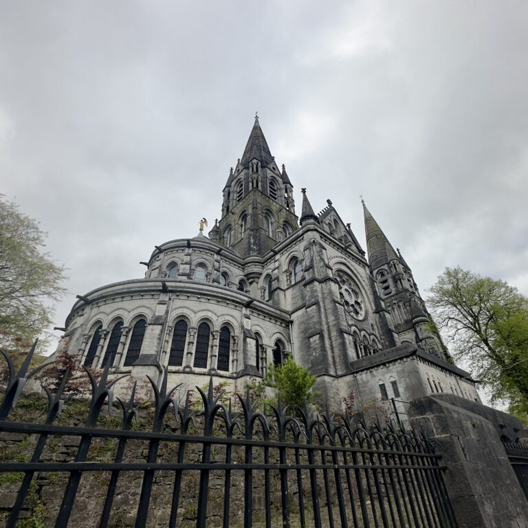Vista della cattedrale neogotica Saint Fin Barre per la guida su cork cosa vedere