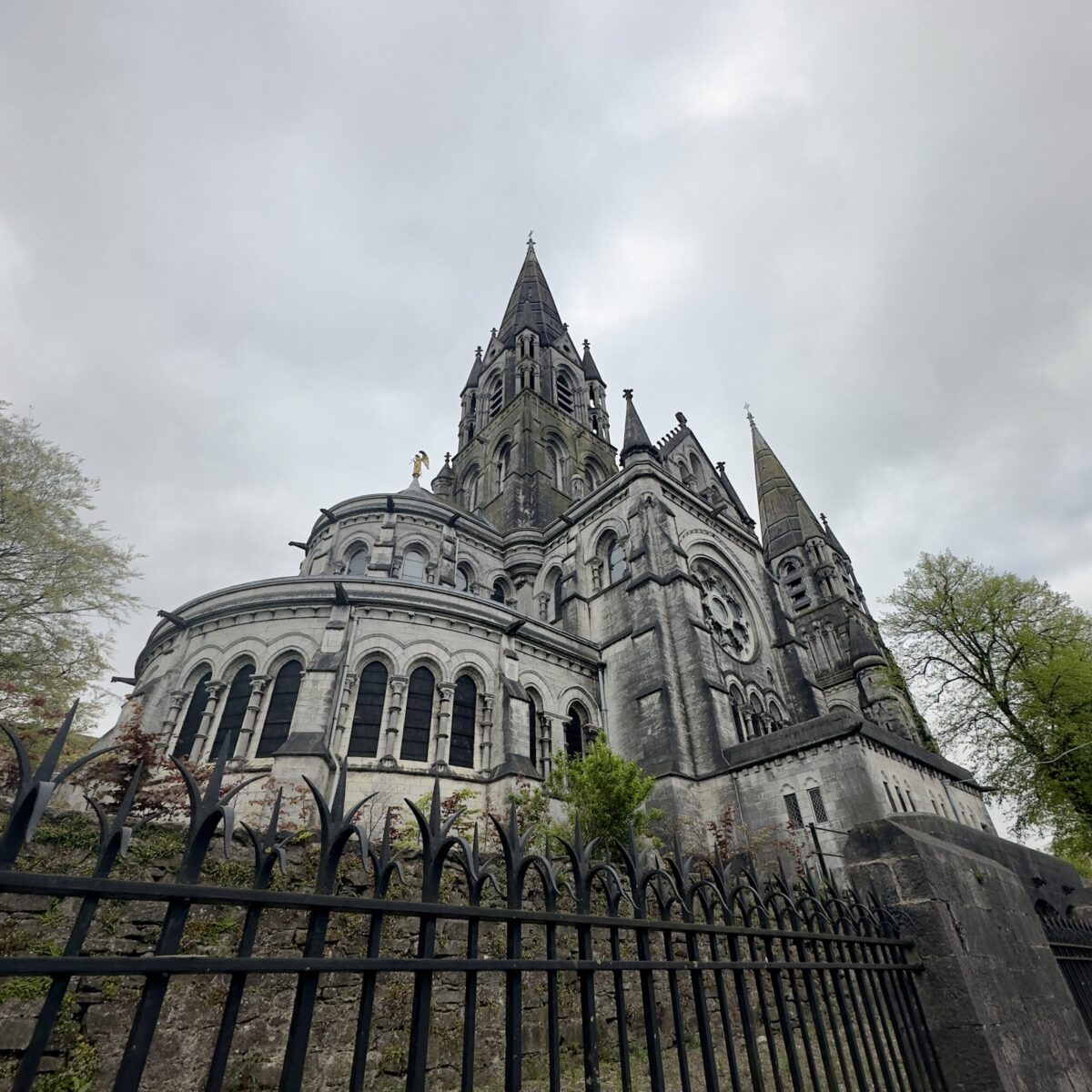 Vista della cattedrale neogotica Saint Fin Barre per la guida su cork cosa vedere